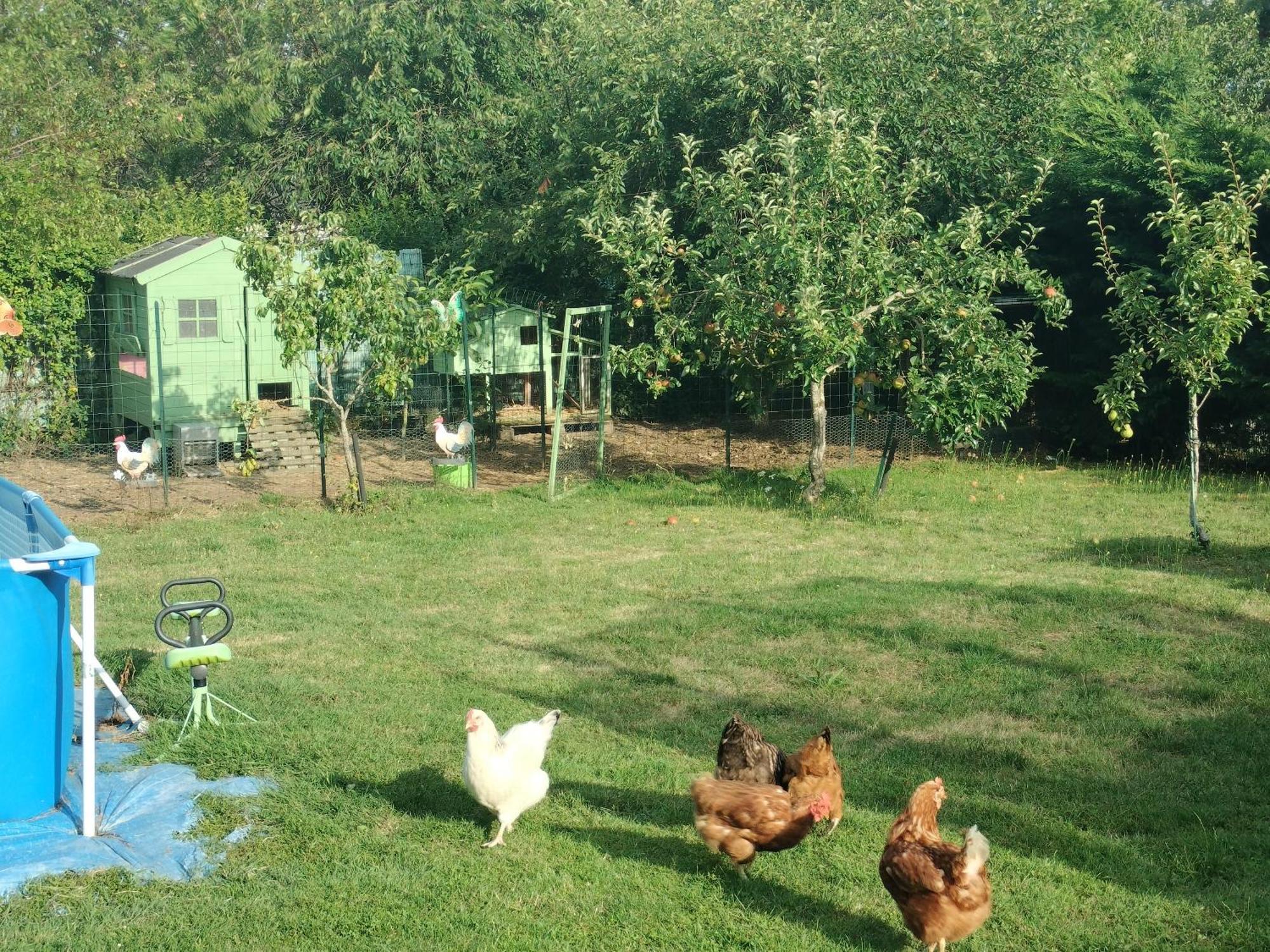 Un Studio Avec Une Entree Independante Thilouze Exterior foto
